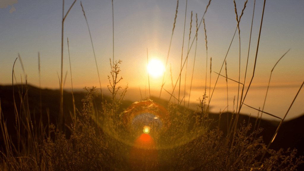 Photeeq Lens Flare: Efectos de Iluminación para Fotografías Impactantes