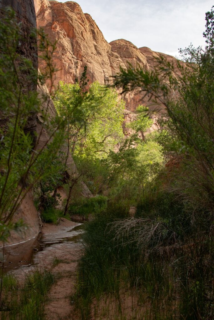Grand Staircase-Escalante National Monument