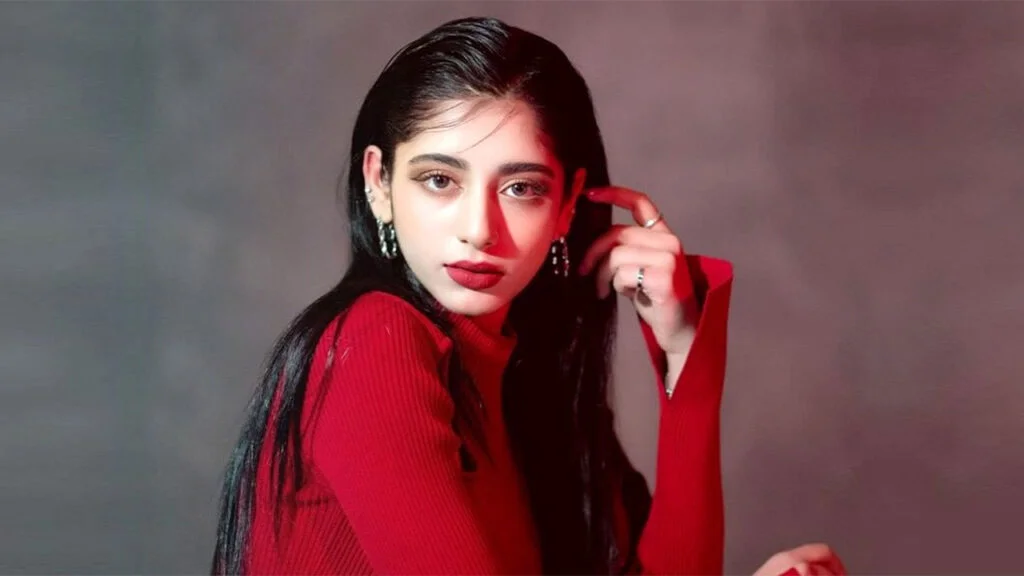 Velvetecstasy.com Aryana Adin K2s.cc: Exploring the Digital Landscape