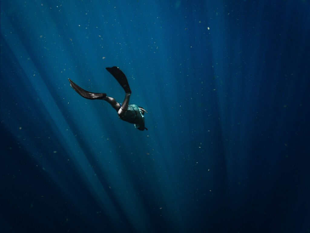 Destin scuba diver missing pics