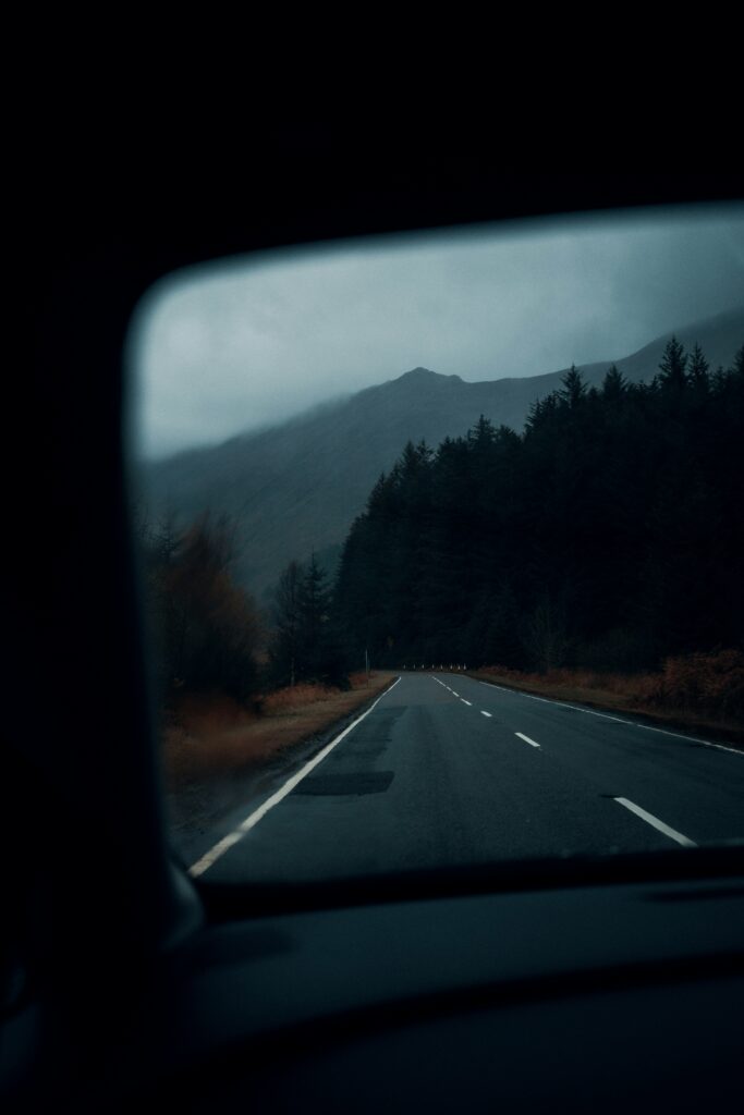 TravelsForNow.com pic